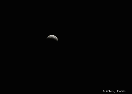 Moon Eclipse from my Backyard