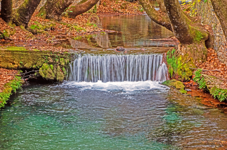 Cascade among the trees.