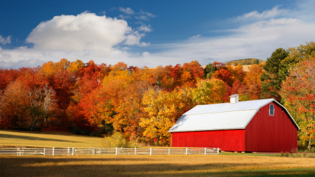 Red Barn in Autumn