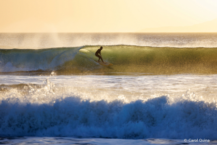 Livin' in a Surfers Paradise
