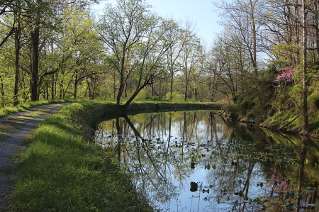 Spring Along the Canal