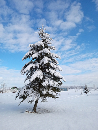 Best of Winter 2025