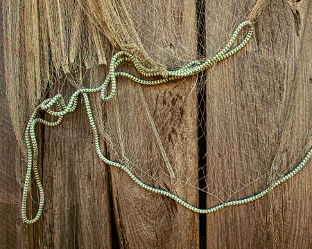 Shore Gear