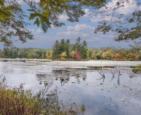 Autumn at lake Marie