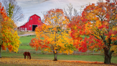 An Autumn Day