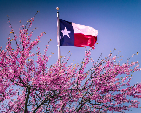 Lonestar Spring 