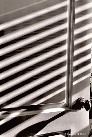 Shadows on the Door 