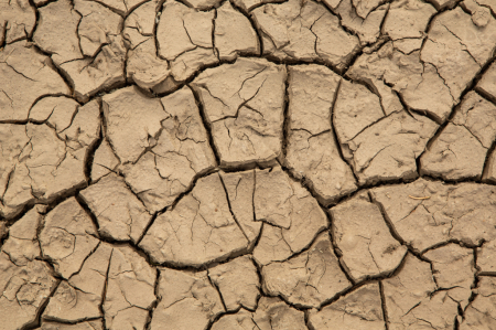 Dry Mud