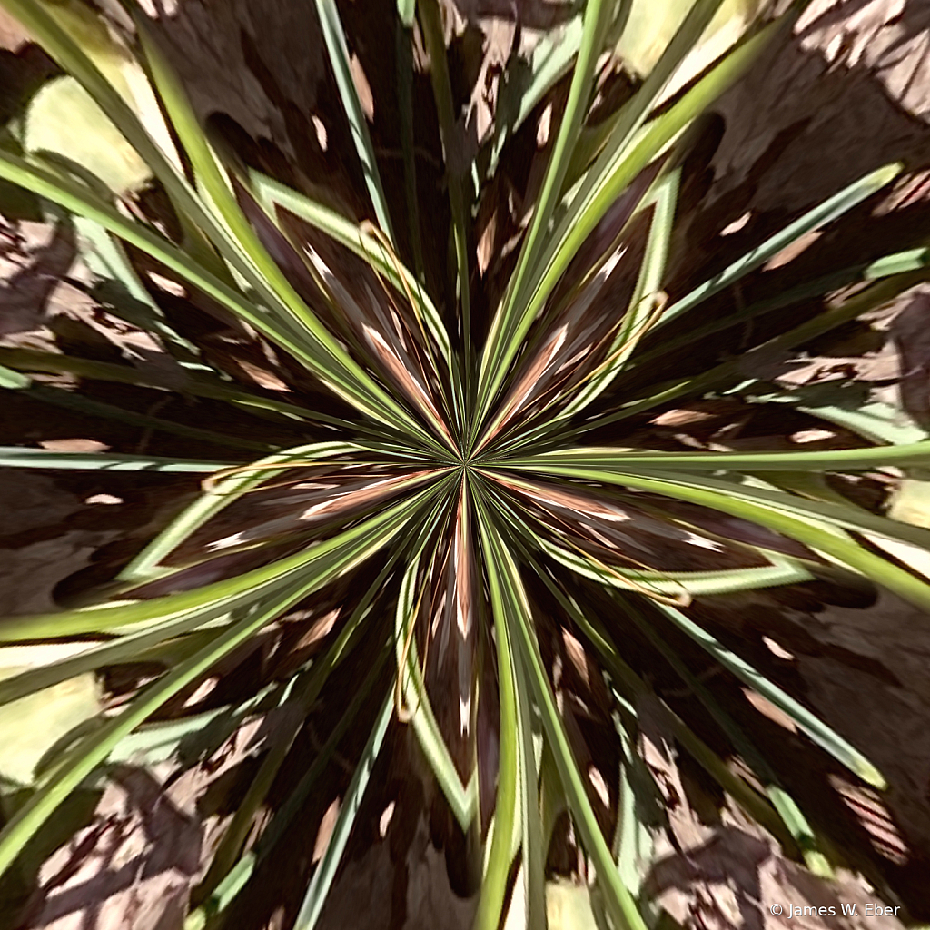img9