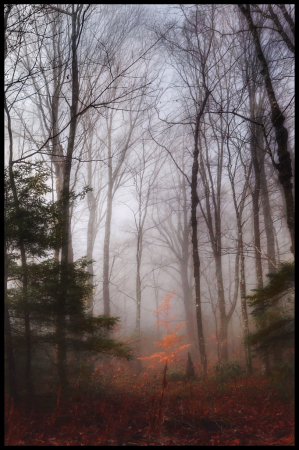Winter in North Carolina Mountais