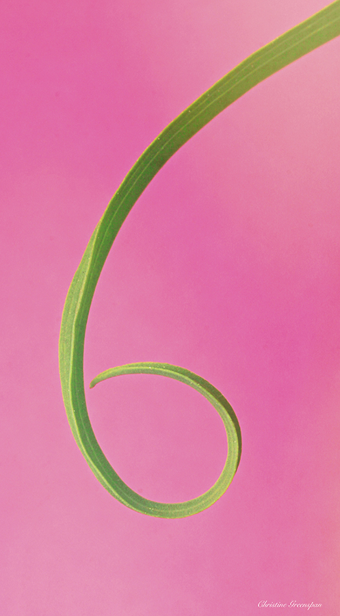 img2