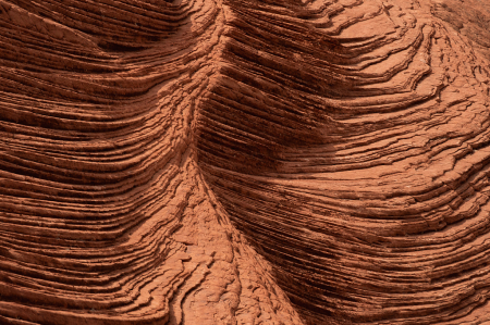 Petrified Sand