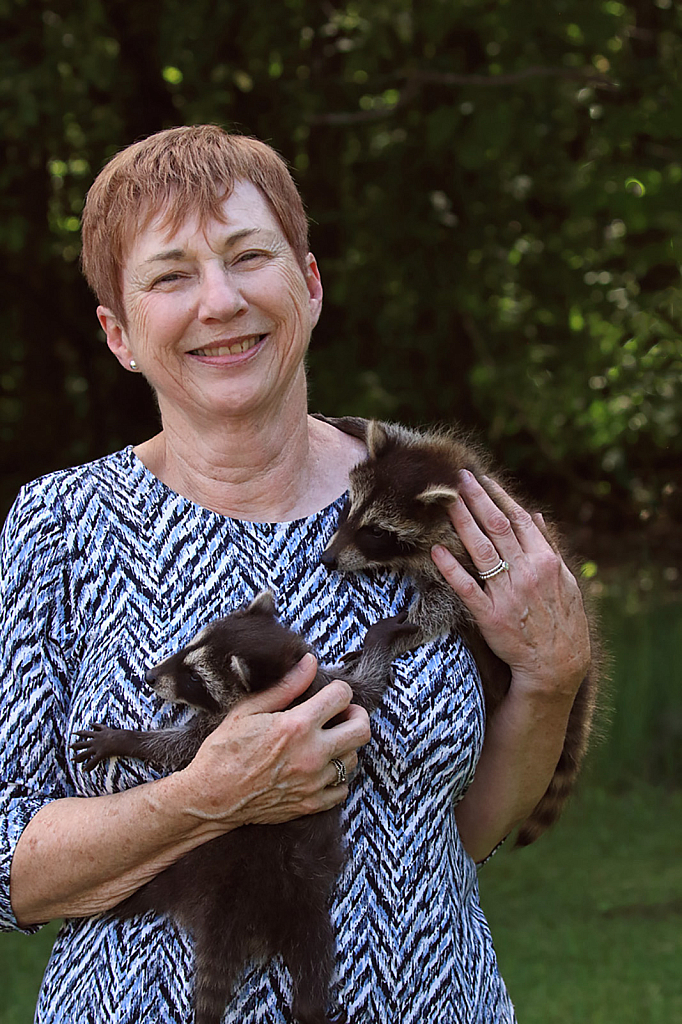 Baby Racoons and Me