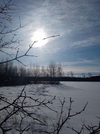 Sunlit