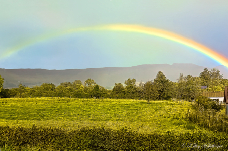 Searching for a Pot of Gold