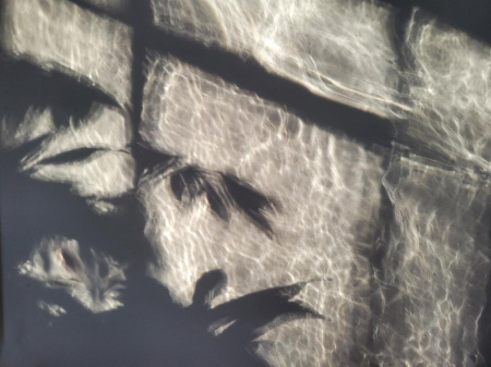 Plant Shadow