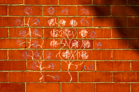 A Tree Grows on the Wall