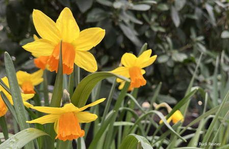 Spring colors