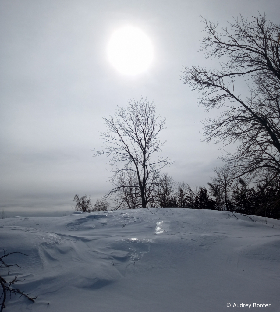 Silent Slope 