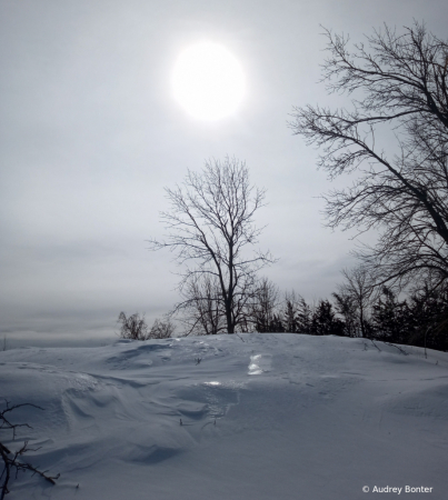 Silent Slope 