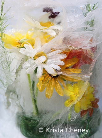 Summer medley in ice VI