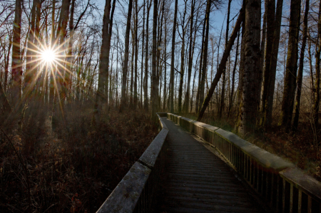 On the Path