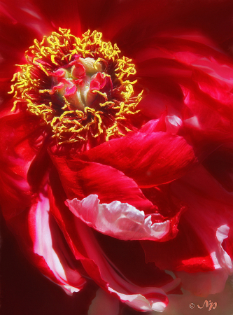 Red Energy