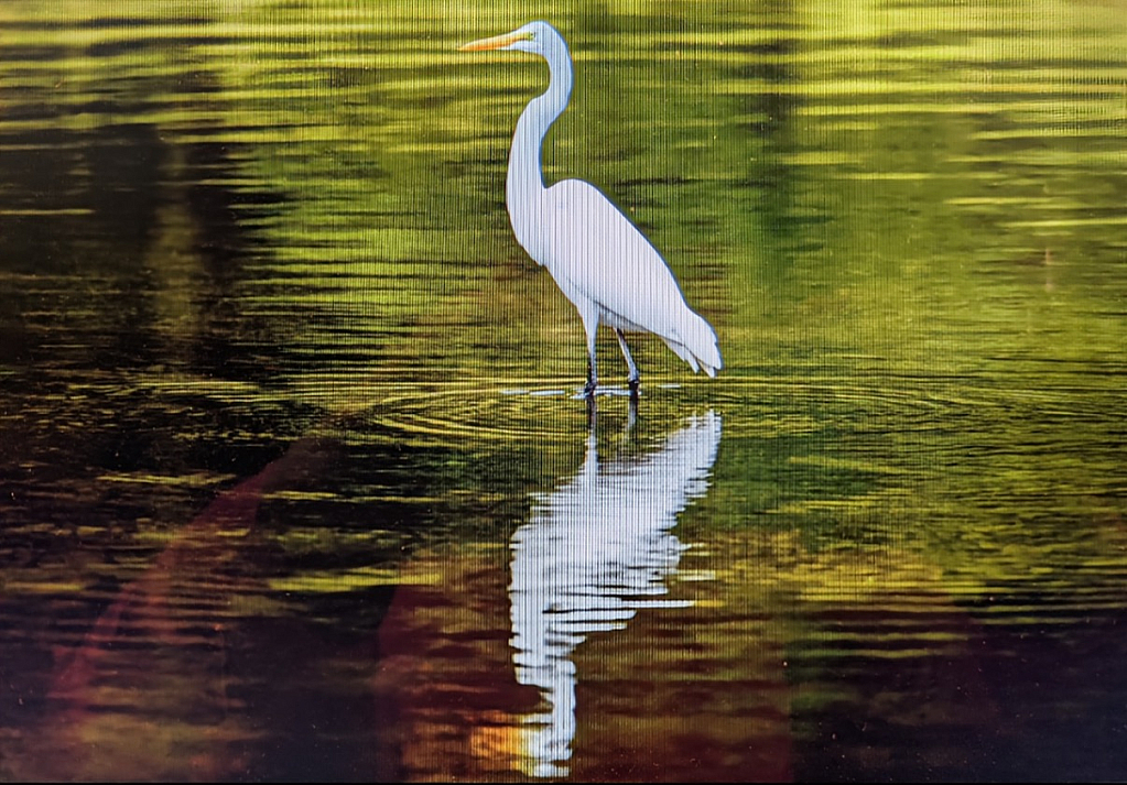 img2