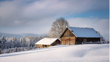 A Winter Day