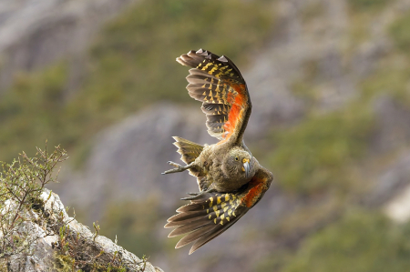 Taking off