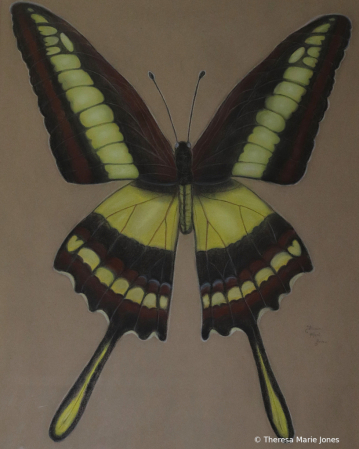 Pastel by TMJ