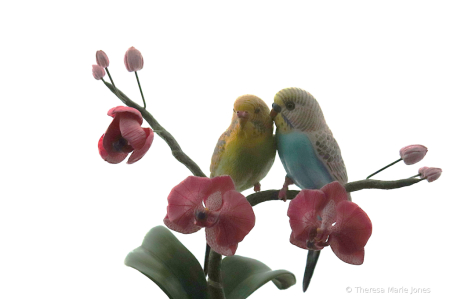 Spring Love