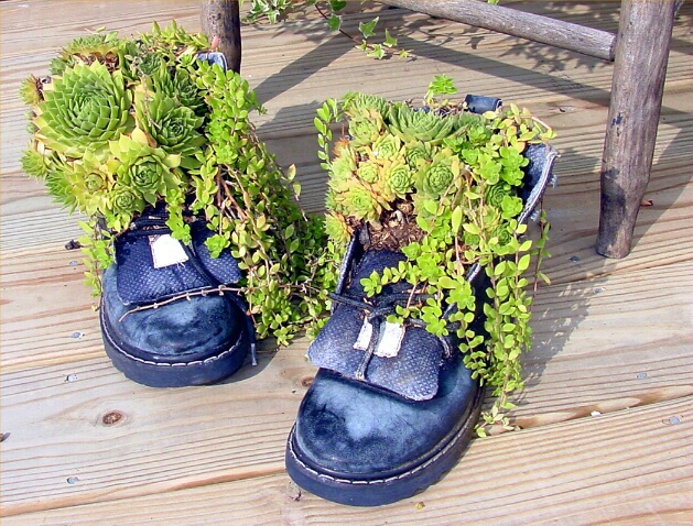 If the shoe fits.....Plant it