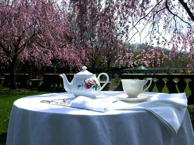Tea In the Garden