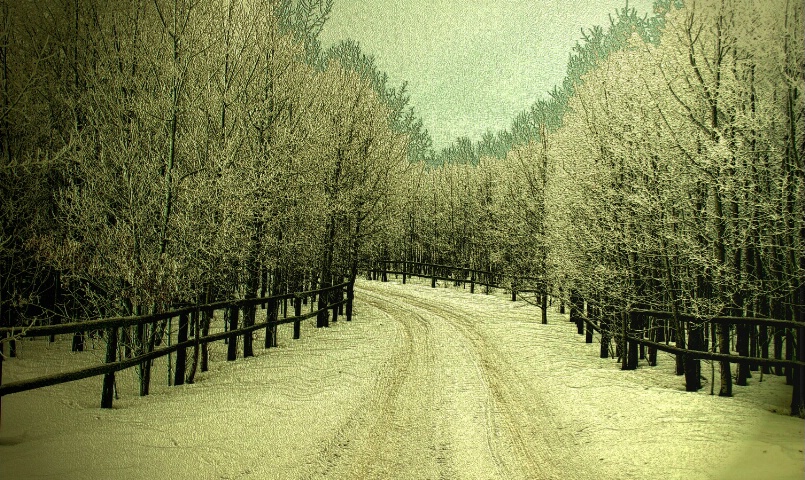 Winter Lane