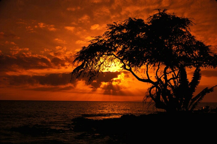 Wailea Sunset