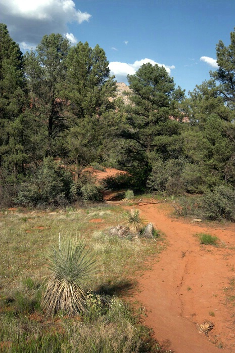 Bell Rock Trail