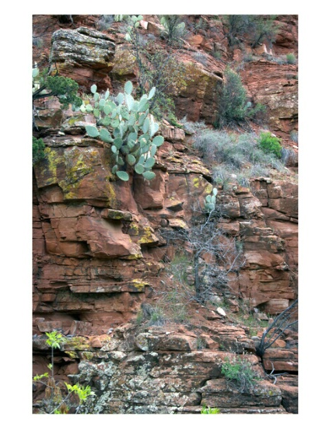 Desert Canyon Wall