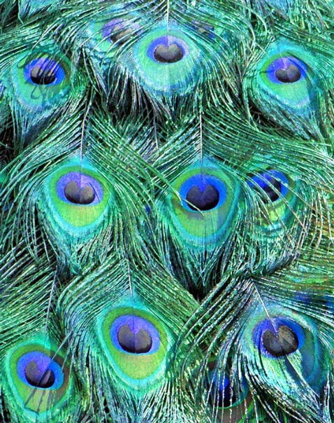 60