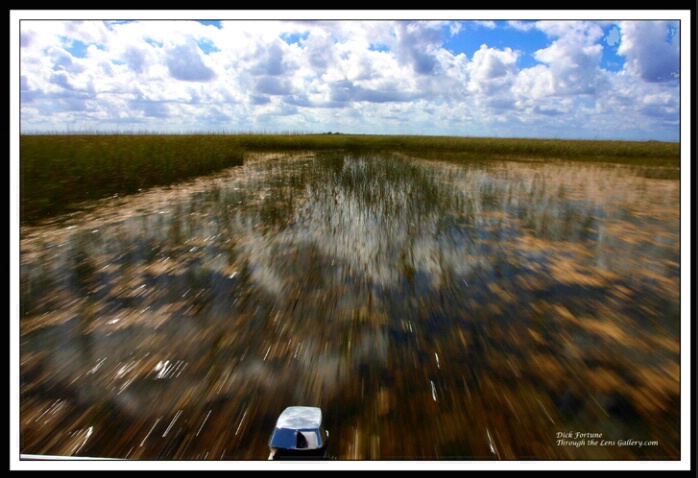 Airboat tour...