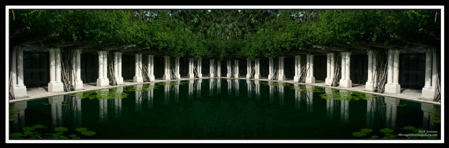 Photostich of lily pond...