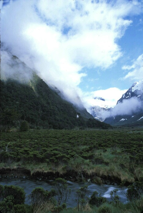 Along the Road to Milford Sound 