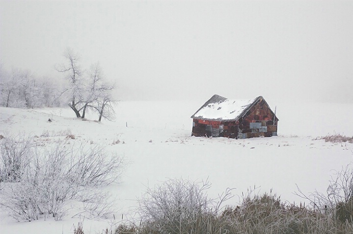 Foggy freeze
