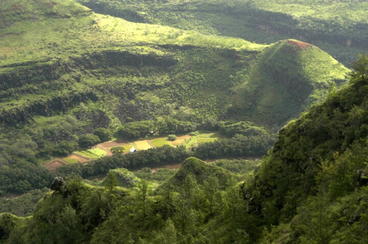 Waimea Canyon