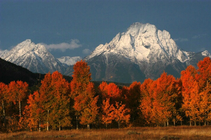 Oxbow Bend Autumn Colors