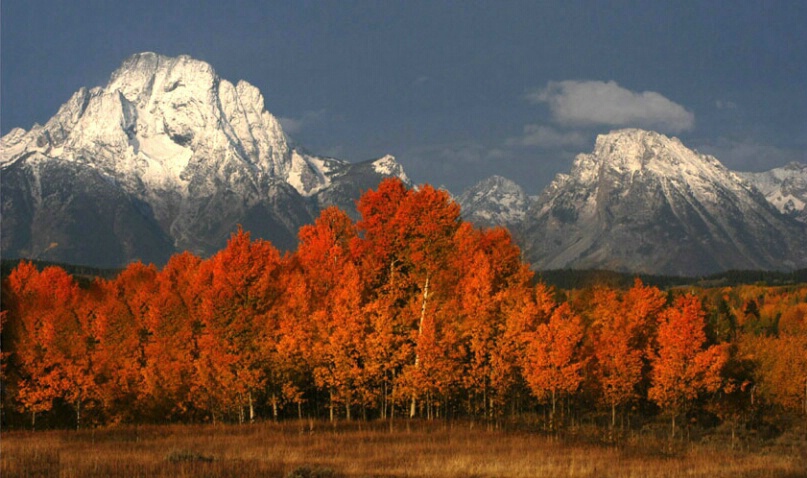 Majestic Peaks at Autumn