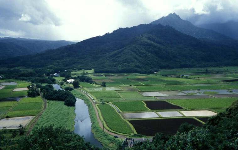 Hanalei Valley Lookout