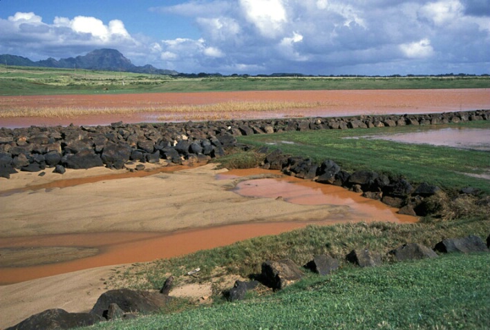 Fertile Red Dirt Runoff