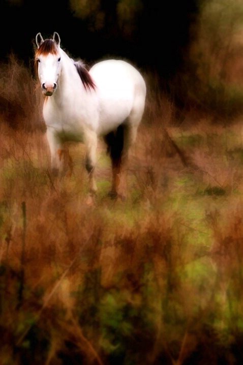 ~untitled~