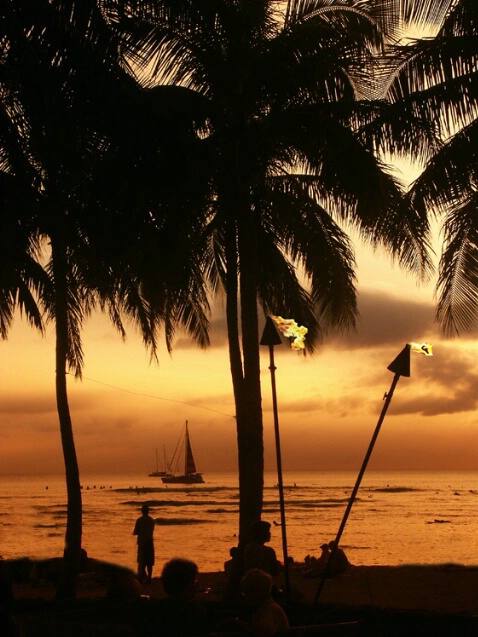 Waikiki Sunset - Verticle